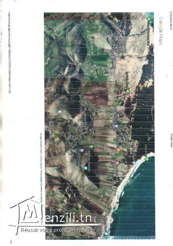 ارض دات صبغة فلاحية وللبناء للبيع براس انجلة عين صارة