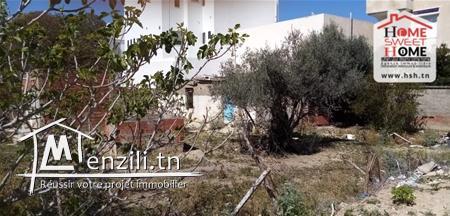 Terrain  Defacto A Vendre A Cité Essahafa Ghazela