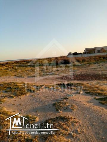 Terrain viabilisé pied dans l'eau à vendre 51355351