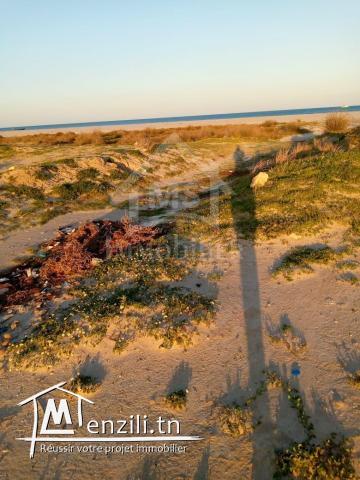 Terrain viabilisé pied dans l'eau à vendre 51355351