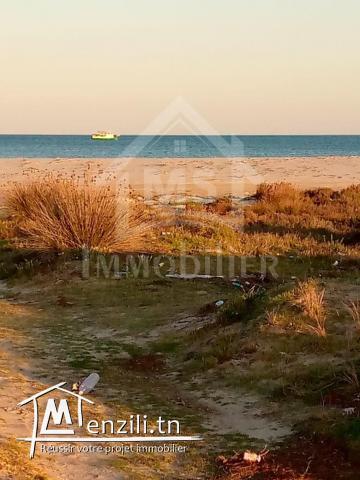 Terrain viabilisé pied dans l'eau à vendre 51355351