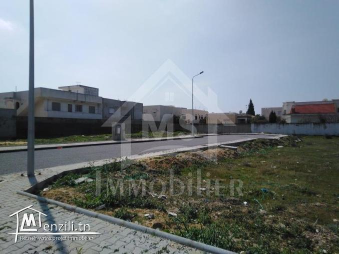 Terrain constructible viabilisé à vendre à Nabeul 51355351