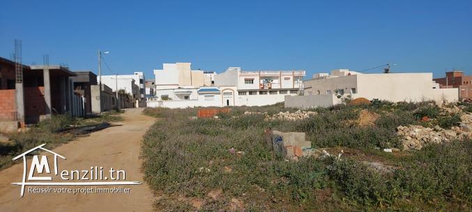 Un terrain à kelibia de 273m²