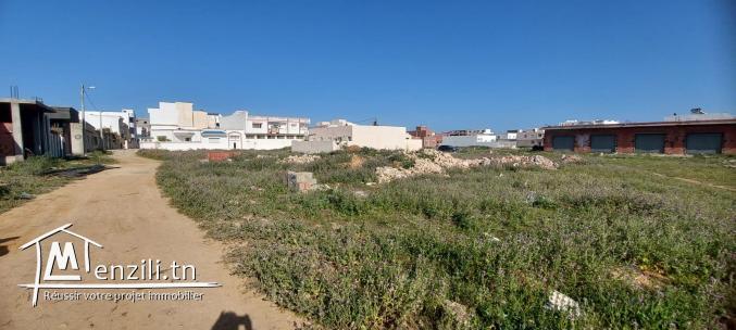 Un terrain à kelibia de 273m²
