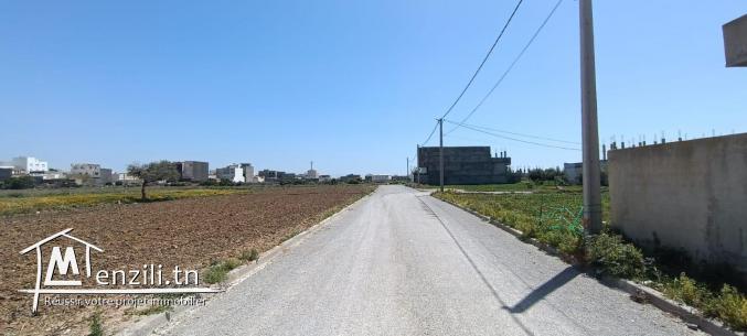 Un terrain à kélibia cité Riadh