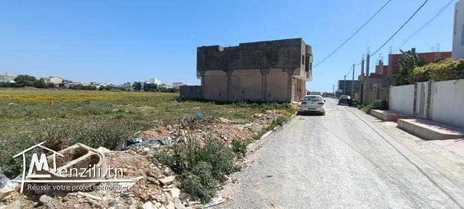 Un terrain à kélibia cité Riadh