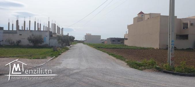Un terrain à kélibia cité Riadh zone villa