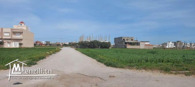 Un terrain à kélibia cité Riadh zone villa
