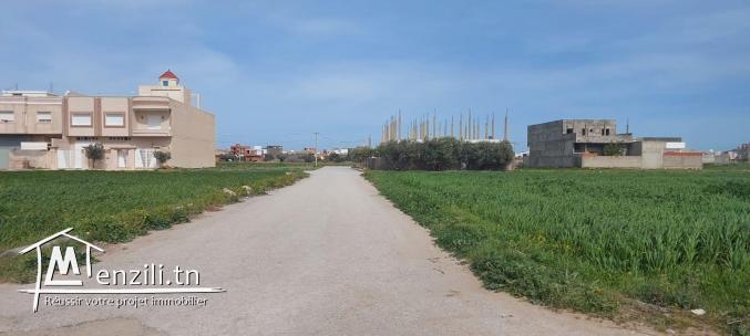 Un terrain à kélibia cité Riadh zone villa