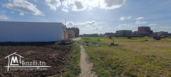 Un terrain à Kelibia Jinen Mansoura