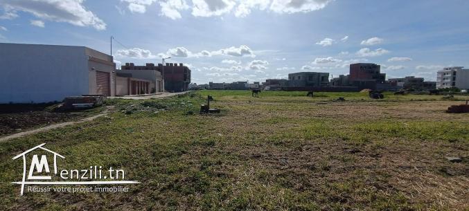 Un terrain à Kelibia Jinen Mansoura