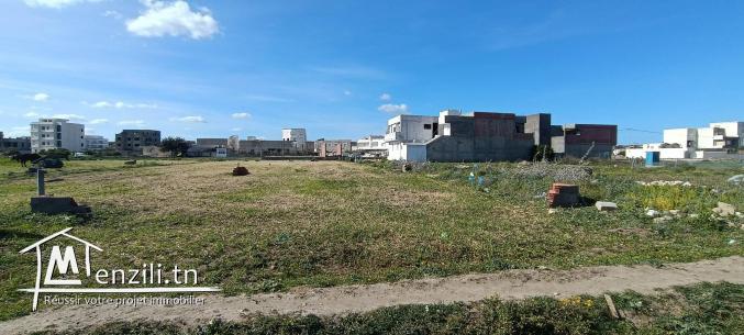 Un terrain à Kelibia Jinen Mansoura