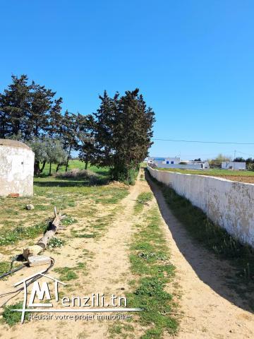 terrain à vendre  kelibia