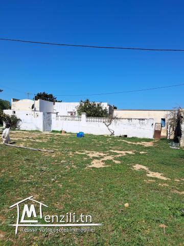 terrain à vendre  kelibia