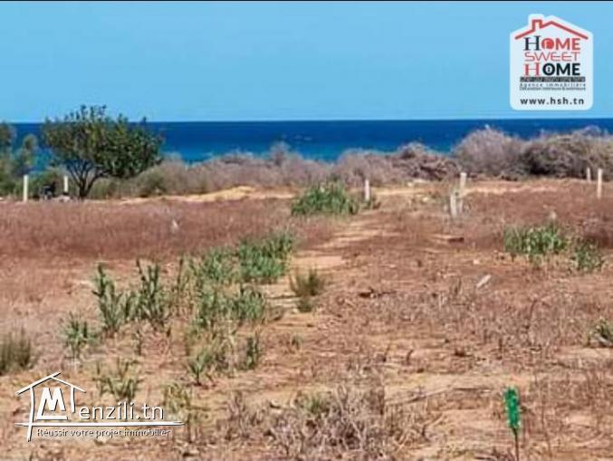 Terrain Villa Abboud à Vendre à Hammem Ghazez