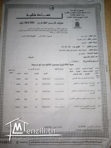 terrain nabeul nainou على الشياع