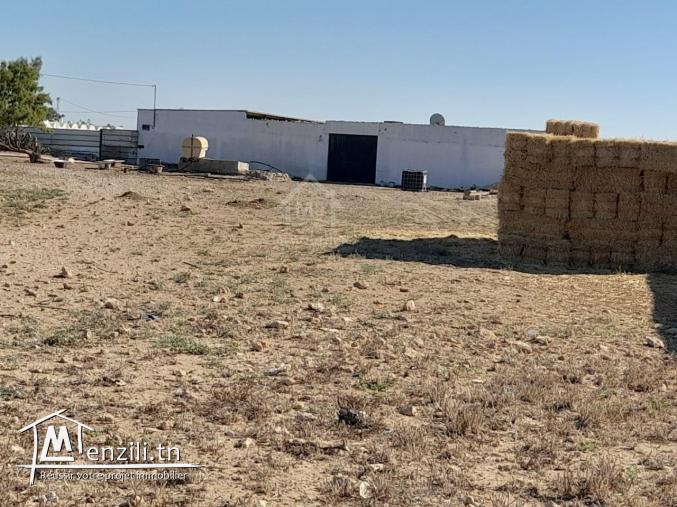 Terrain à vendre à Maamoura 5135535