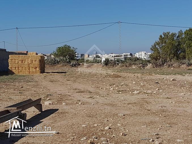 Terrain à vendre à Maamoura 5135535