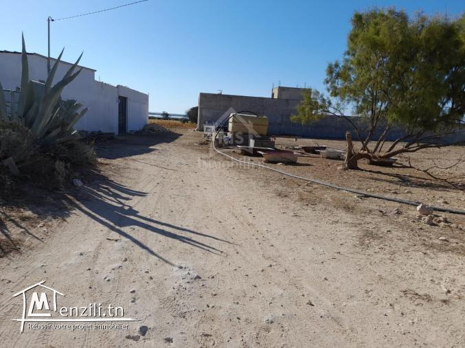 Terrain à vendre à Maamoura 5135535