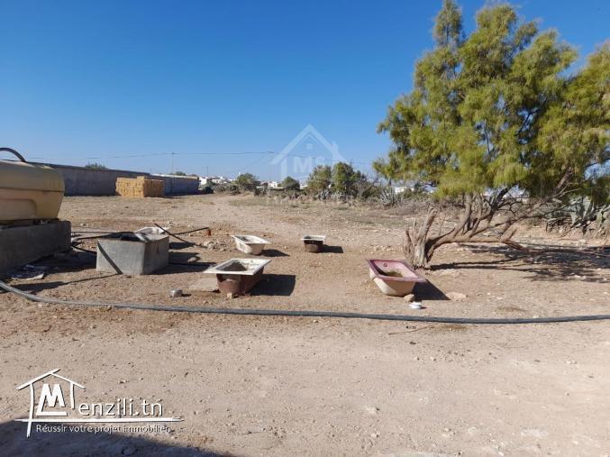 Terrain à vendre à Maamoura 5135535