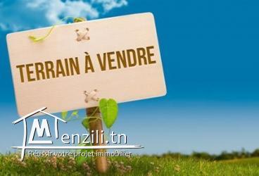Un terrain de  1846 M2  a vendre
