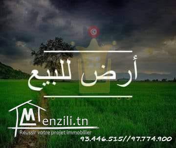 terrain à vendre à la falaise de Monastir