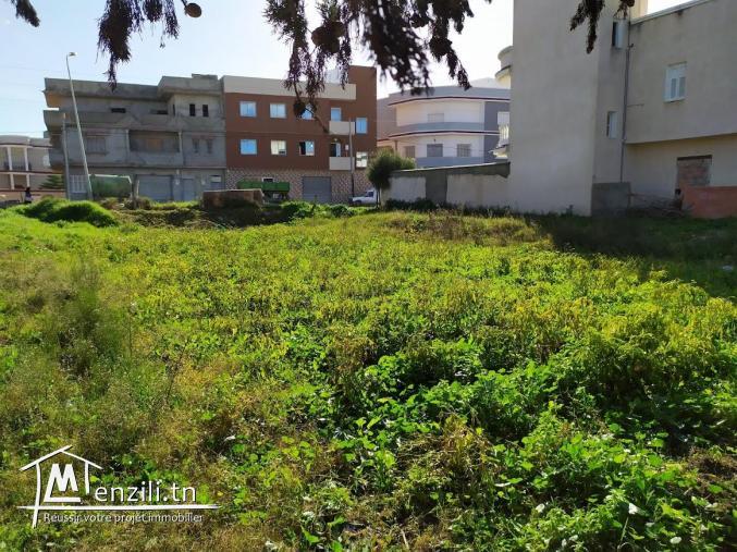 Terrain à vendre à Menzel Abderrahman (bir essenia)