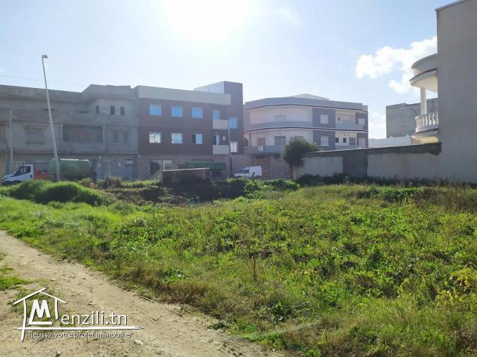 Terrain à vendre à Menzel Abderrahman (bir essenia)