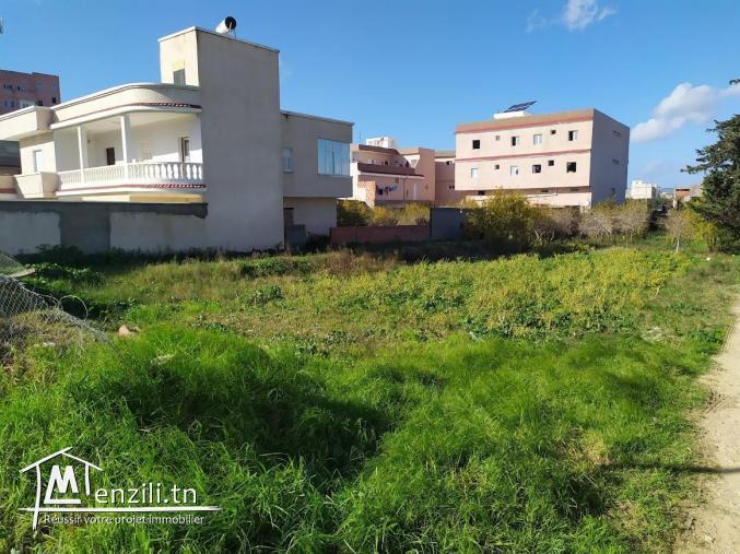 Terrain à vendre à Menzel Abderrahman (bir essenia)