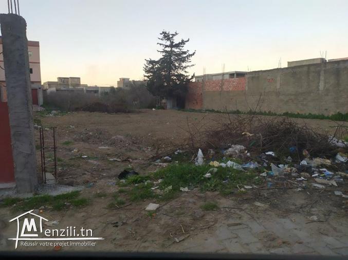 Terrain à vendre à Menzel Abderrahman (bir essenia)