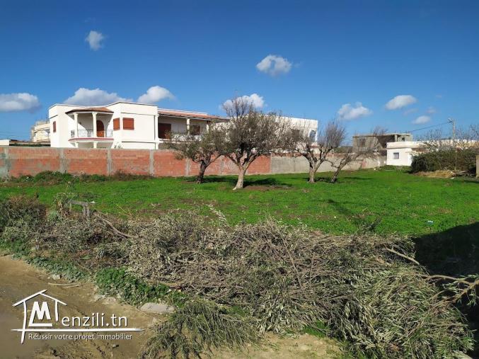 Terrain à vendre à Menzel Abderrahman (bir tarbi3a)
