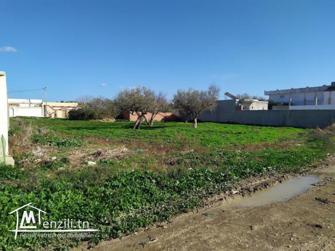 Terrain à vendre à Menzel Abderrahman (bir tarbi3a)