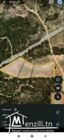 Terrain agricole à vendre El haouaria