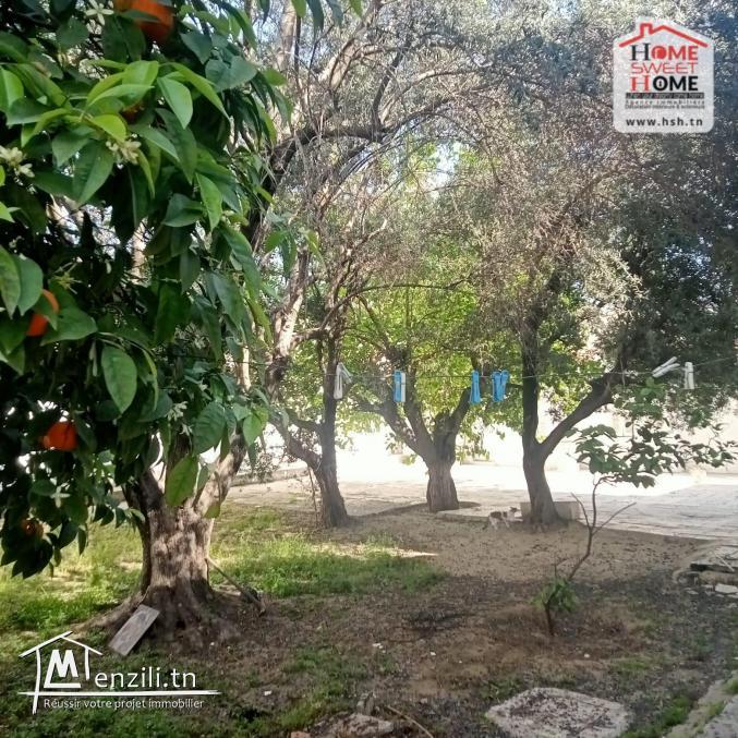 Terrain INVEST Narcos à Vendre à Ben Arous