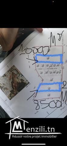 Terrain a vendre a mnihla devant maison renault