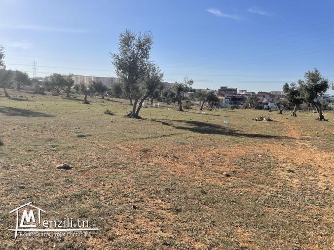 Terrain a vendre a mnihla devant maison renault