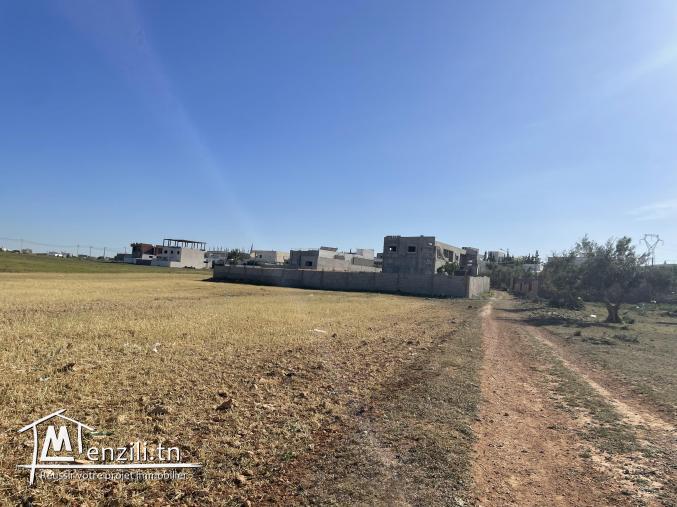 Terrain a vendre a mnihla devant maison renault