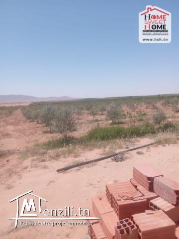 Terrain Agricole Trevino à Vendre à Sidi Aich