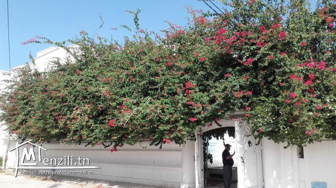 VILLA DE MAîTREa louer 