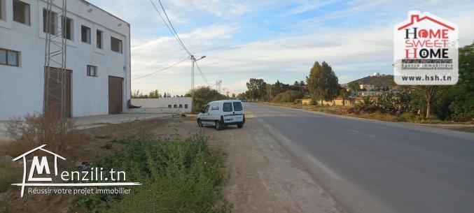 Terrain Agricole Jemma à Vendre à Béjaoua