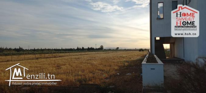 Terrain Agricole Jemma à Vendre à Béjaoua