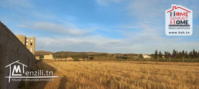 Terrain Agricole Jemma à Vendre à Béjaoua