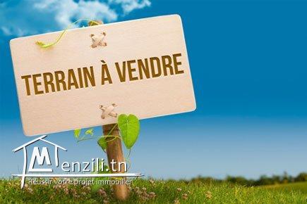 Beau terrain 2346 m² pour promotion à Soukra