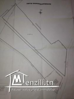Terrain 1ere position Sidi Youssef