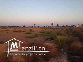 Terrain 1ere position Sidi Youssef