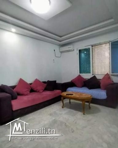 Appartement palmiers