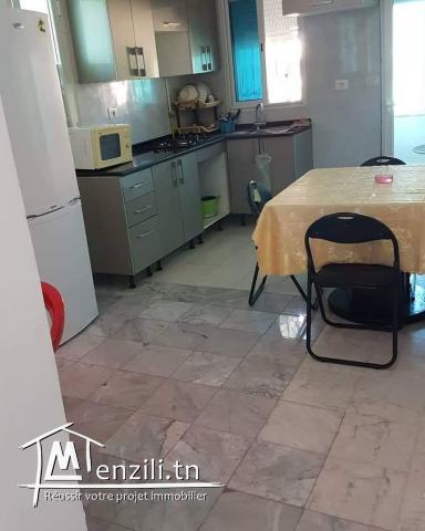 Appartement palmiers