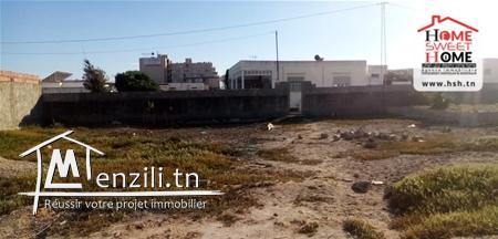 Terrain Gomez A Vendre A Raoued