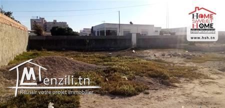 Terrain Gomez A Vendre A Raoued