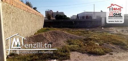 Terrain Gomez A Vendre A Raoued